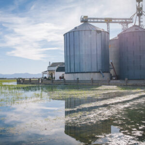 Aprovechamiento Energético del Biogas Producido con Procesos de Digestión Anaerobia Mesófila en Ptar