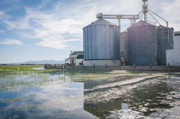 Aprovechamiento Energético del Biogas Producido con Procesos de Digestión Anaerobia Mesófila en Ptar