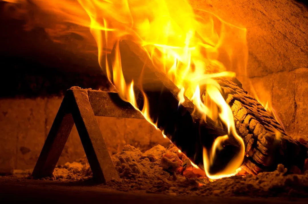 Combustión de Biomasa: Tecnología Energética Renovable